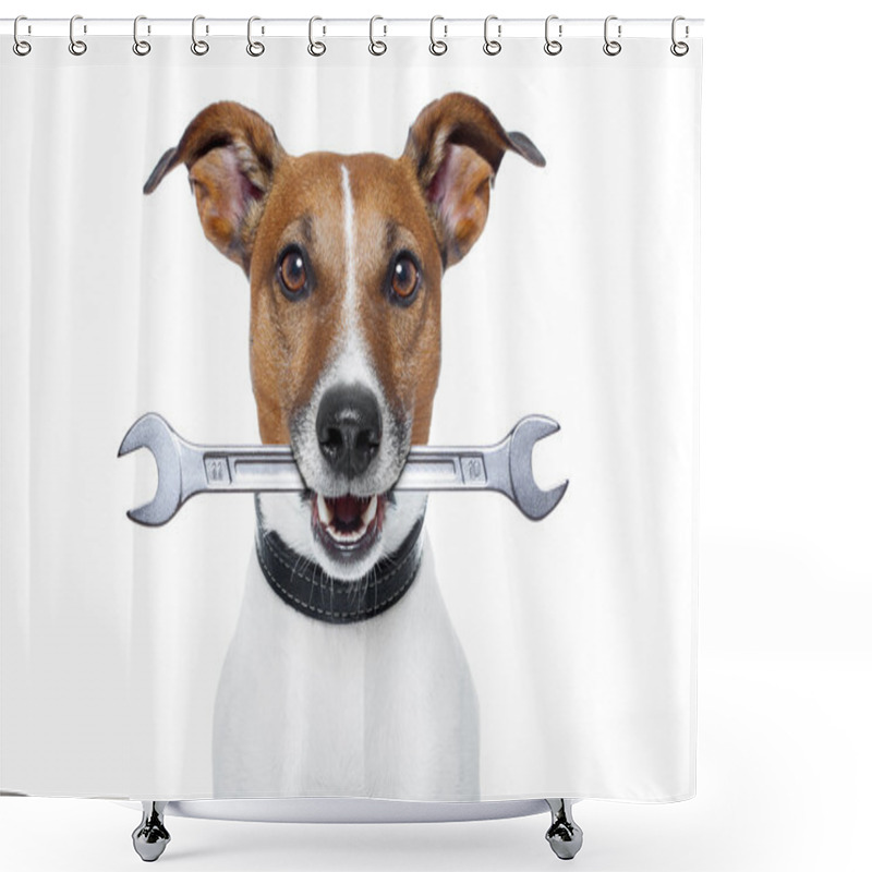 Personality  Craftsman Dog Shower Curtains