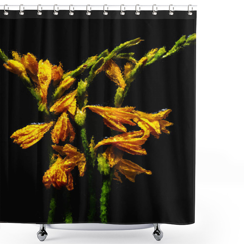 Personality  Beautiful Blooming Wet Orange Lily Flowers And Buds Isolated On Black   Shower Curtains