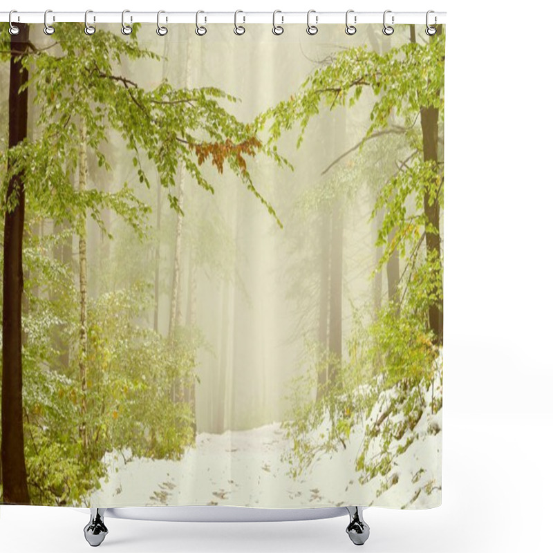 Personality  Forest Trail In The Fog Shower Curtains