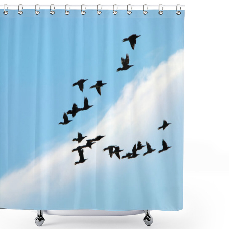 Personality  Silhouette Of Flying Birds Shower Curtains