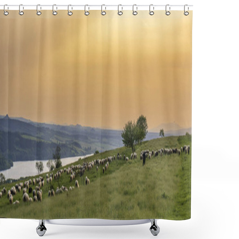 Personality  A Shepherd Grazes Sheep In A Pasture Before Sunset Shower Curtains