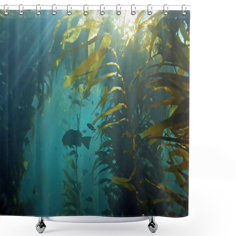 Personality  Beach Seaweed Kelp Forest Underwater At Catalina Island, California Shower Curtains