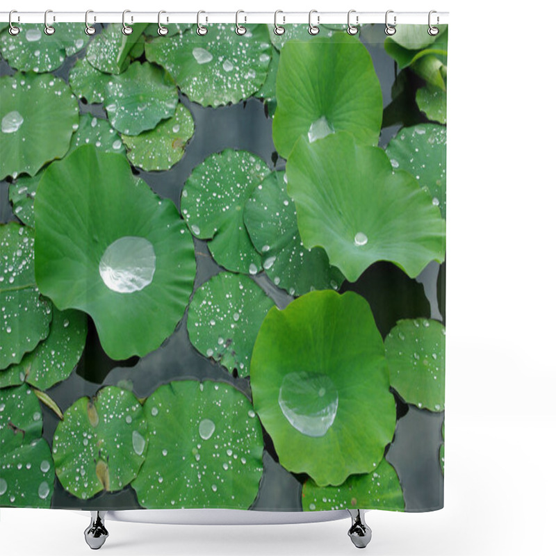 Personality  Beautiful Botanical Shot, Natural Wallpaper Shower Curtains