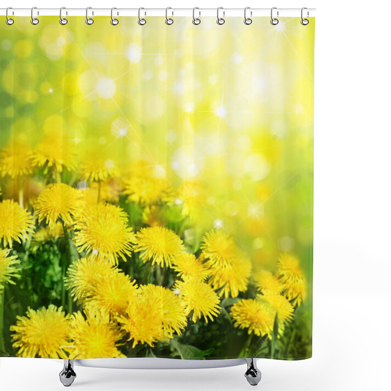 Personality  Blooming Yellow Dandelions Shower Curtains