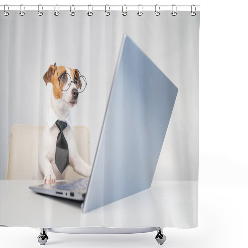 Personality  Dog Jack Russell Terrier In Glasses And A Tie Sits At A Desk And Works At A Computer On A White Background. Humorous Depiction Of A Boss Pet. Shower Curtains