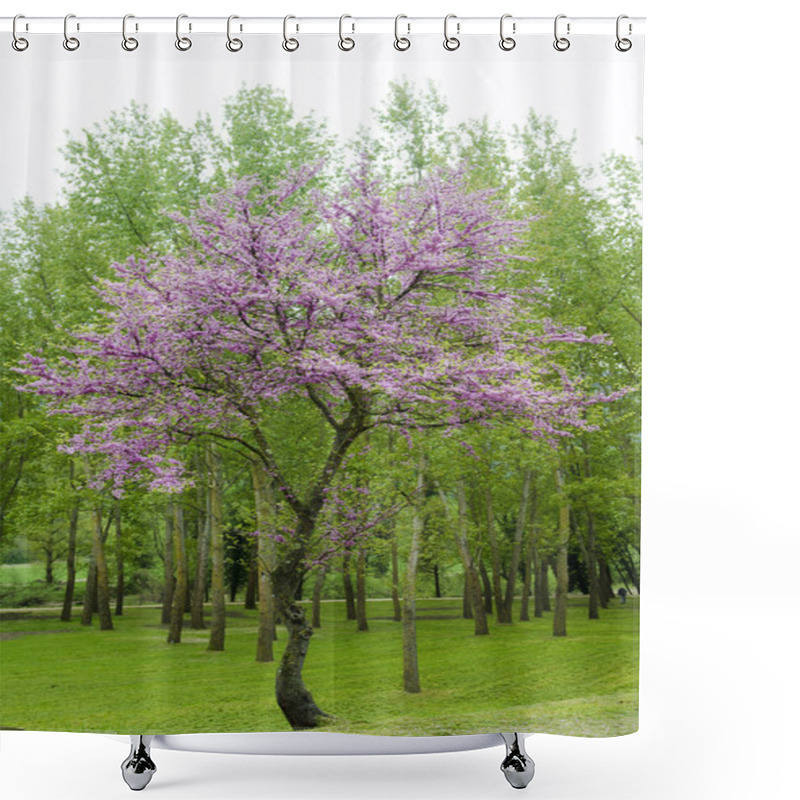 Personality  Judas Tree Shower Curtains