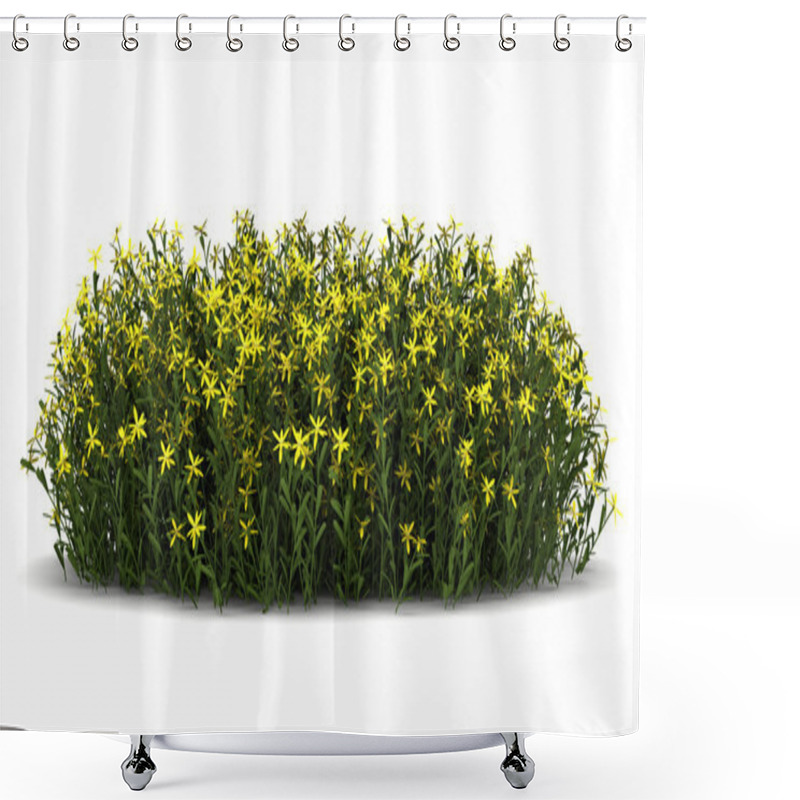 Personality  Broom Flowers Isolated On White Background Shower Curtains