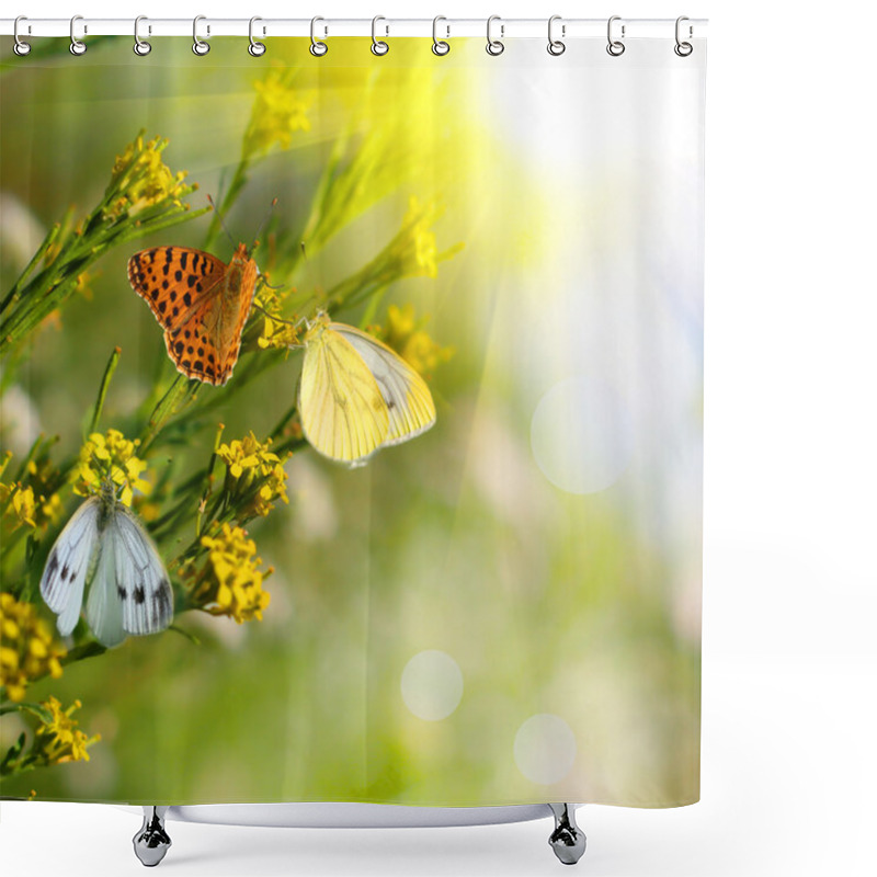 Personality  Flowers And Butterflies Shower Curtains