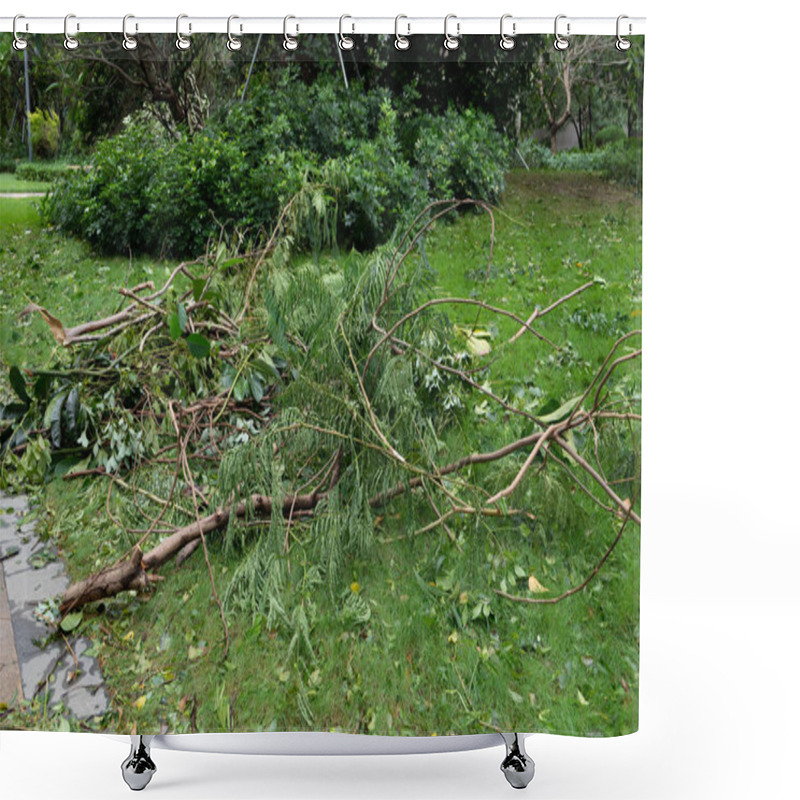 Personality  Broken Trees After A Strong Storm Went Through Shower Curtains