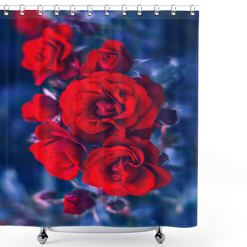 Personality  Red Roses At The Blue Background . Louis Phillippe China Rose Shower Curtains