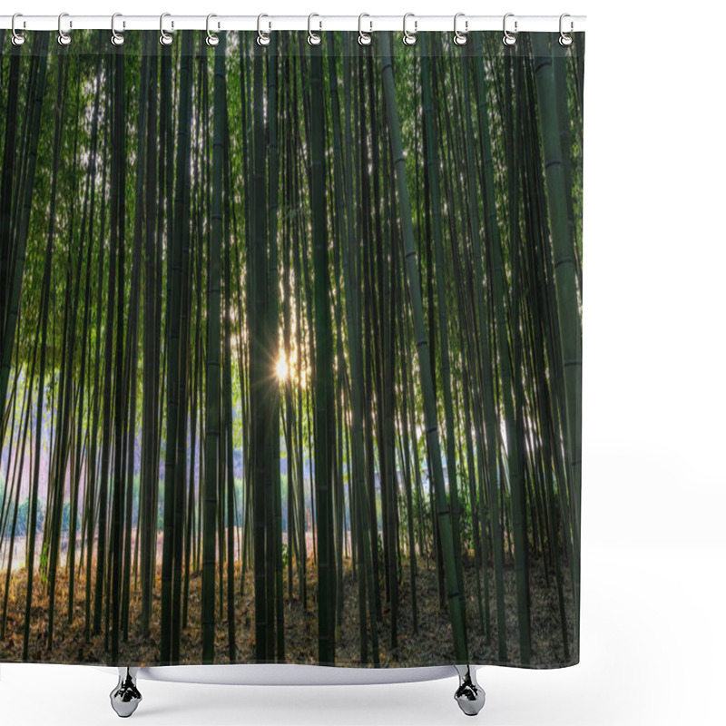 Personality  Sunset Light Through Simnidaebat Bamboo Forest. The Famous Bamboo Forest In Ulsan Taehwagang River Grand Park Has An Extensive Bamboo Field Covering The Area Between Taehwa Bridge And Samho Bridge. Ulsan, South Korea Shower Curtains