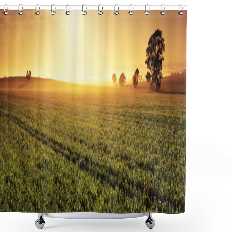 Personality  Valley Of Gold Shower Curtains