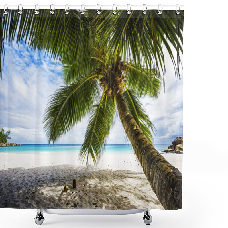 Personality  Palm Tree,white Sand,turquoise Water At Tropical Beach,paradise  Shower Curtains