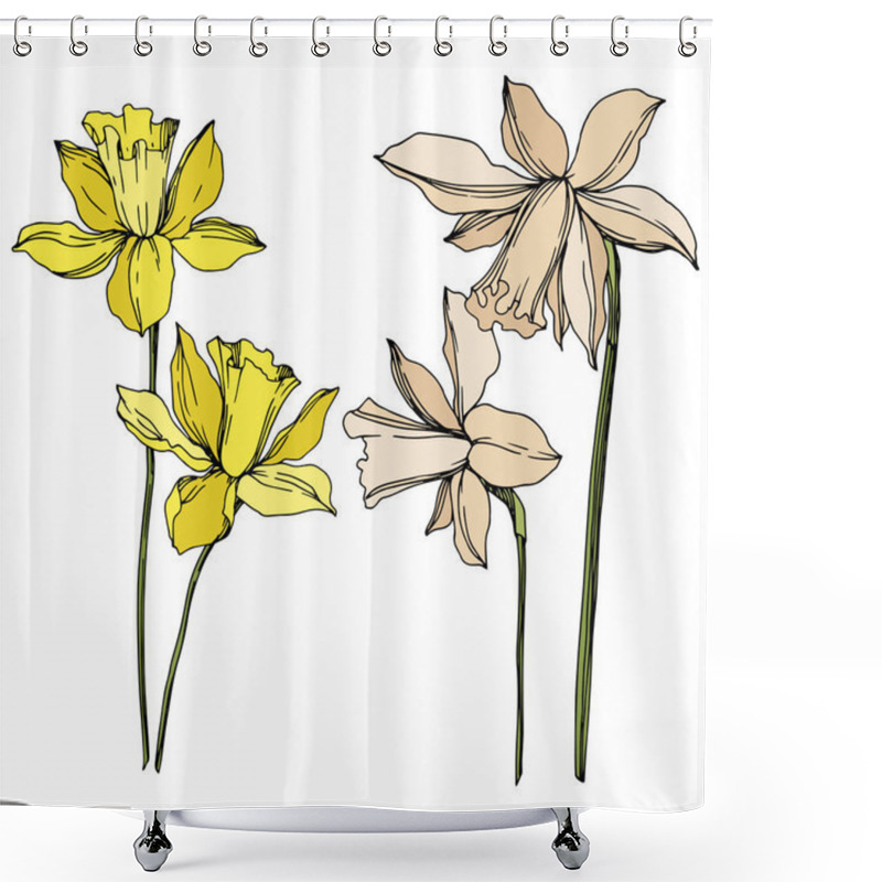 Personality  Vector Narcissus Floral Botanical Flowers. Black And White Engraved Ink Art. Isolated Narcissus Illustration Element. Shower Curtains