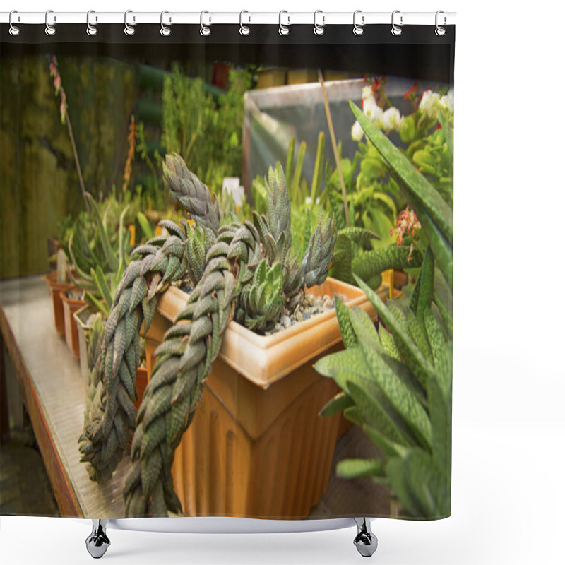 Personality  Botanical Garden Of Everywhere There Are Various Very Bright Beautiful Flowers And Plants Shower Curtains