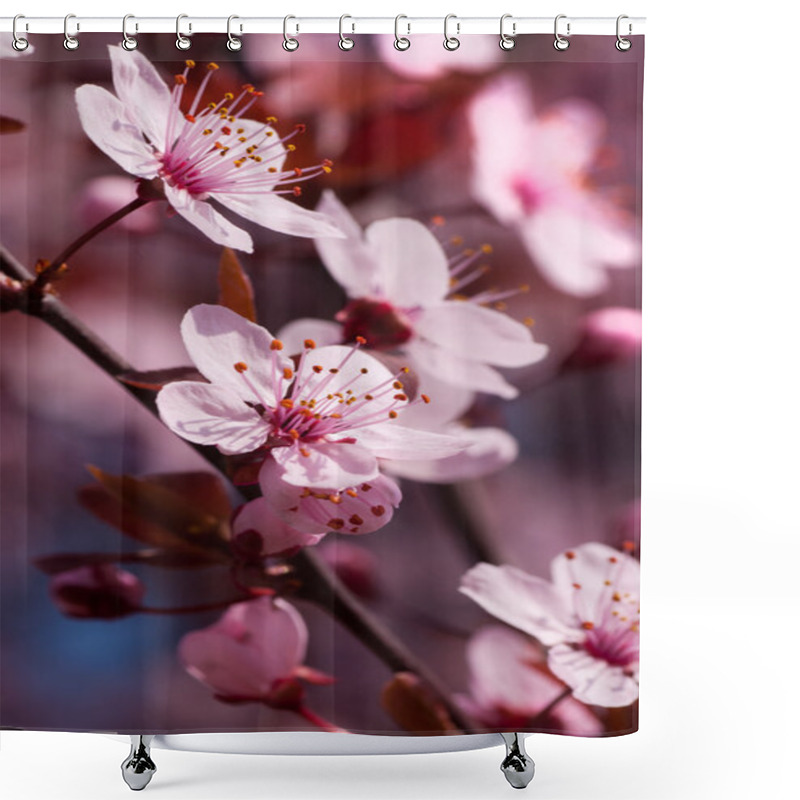 Personality  Cherry Blossoms Shower Curtains