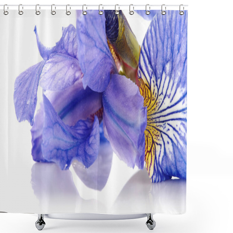 Personality  Petals Of A Flower Of An Blue Iris. Shower Curtains