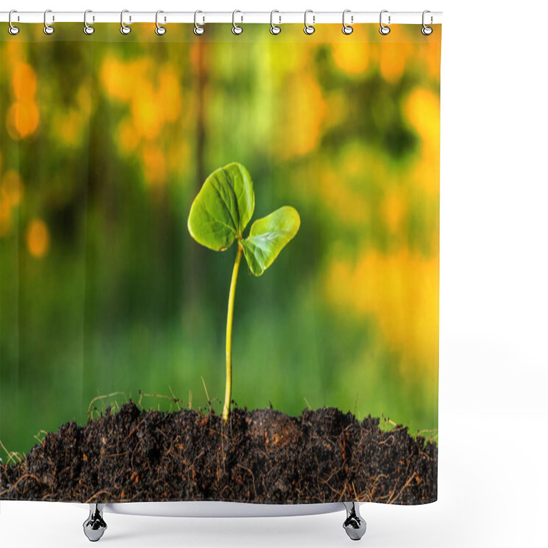 Personality  Small Plant On Pile Of Soil Shower Curtains