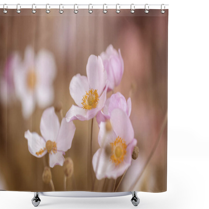 Personality  Anemones, Pink Flowers On A Sunny Day, Spring Season, Flower, Blurred Background, Front Shot Shower Curtains