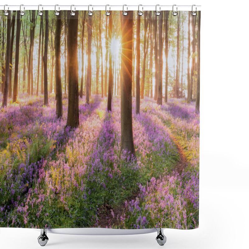 Personality  Bluebell Forest Path At Sunrise Shower Curtains