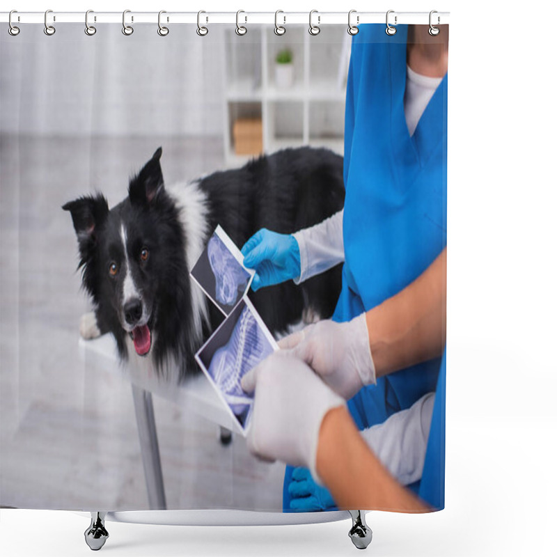 Personality  Cropped View Of African American Veterinarian Pointing At Ultrasound Scan Near Colleague And Border Collie In Clinic  Shower Curtains