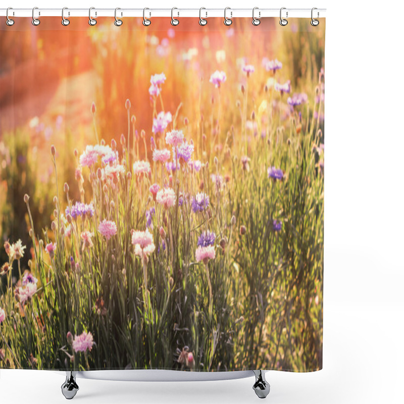 Personality  Beautiful Flowers With Sun Lighting Scene Shower Curtains