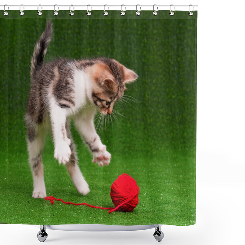 Personality  Cute Kitten Shower Curtains