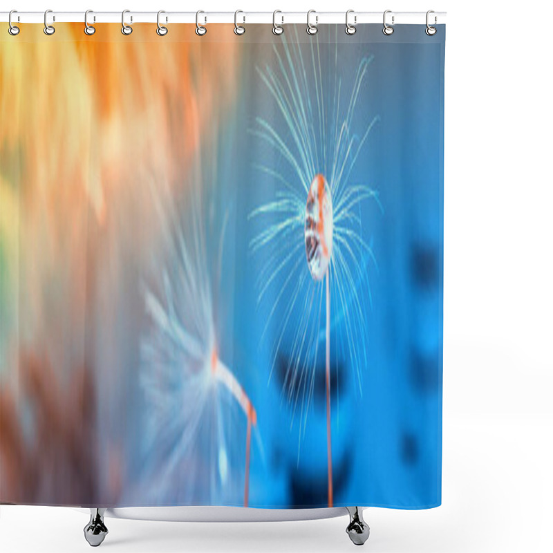 Personality  Macro Photo, Dandelion Seeds In Dew Drops On A Mystical Blue Background Shower Curtains