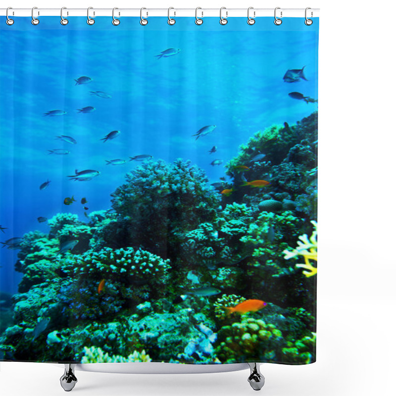 Personality  Group Of Coral Fishes In Water. Shower Curtains