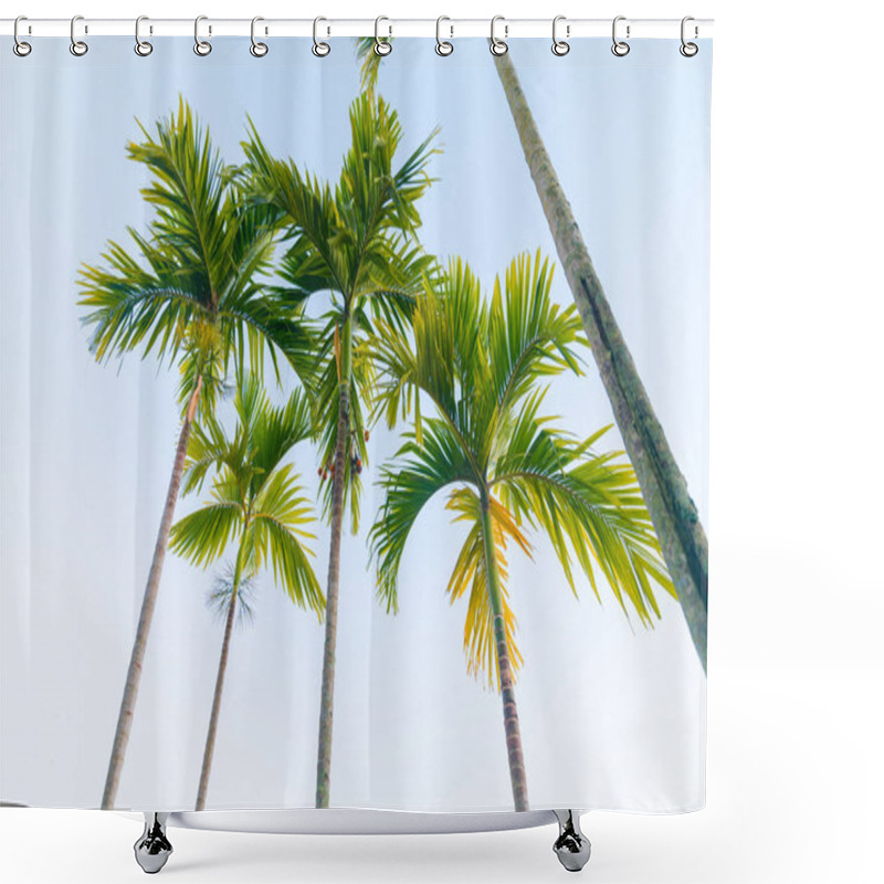 Personality  Palm Trees From Low Point Of View Taowering Overhead Shower Curtains