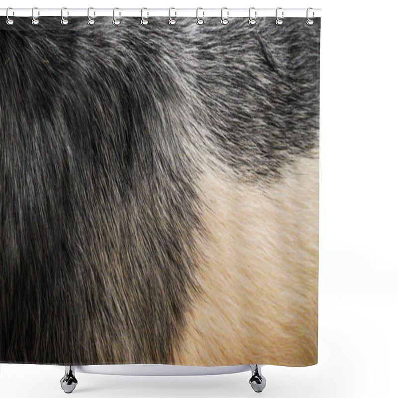 Personality  Background And Texture Of Animal Fur. Extreme Close-up Of Goat's Fur. A Fluffy, Soft Warm Coat Protects This Farm Animal From The Cold. Beautiful Shades Of Grey, Brown, White And Cream Shower Curtains