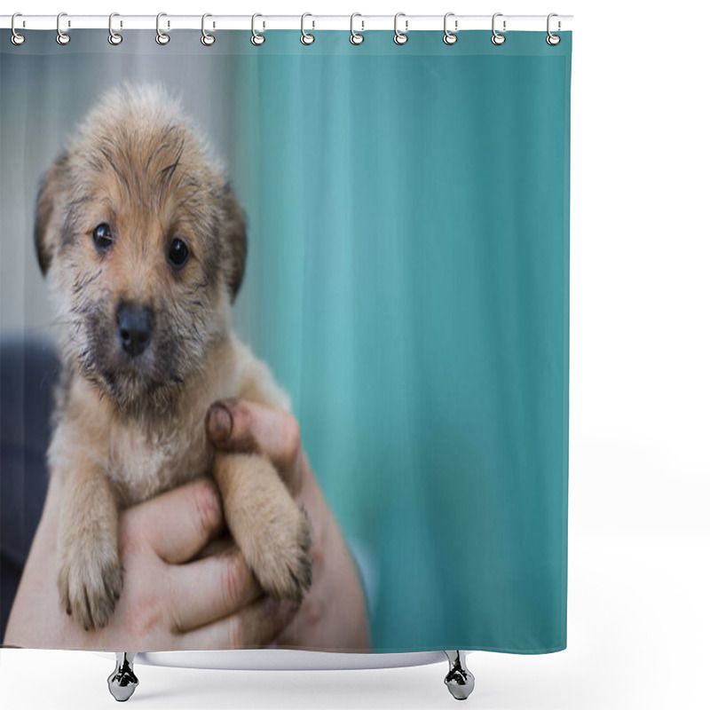 Personality  Puppy In The Hands Of A Farmer. Rescue Animal. Homeless Dog. Shower Curtains