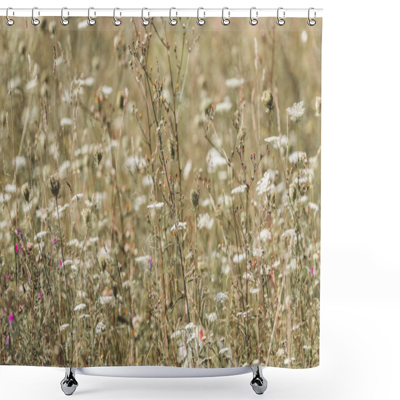 Personality  Close-up View Of Beautiful Blooming Wildflowers In Field At Sunny Day Shower Curtains