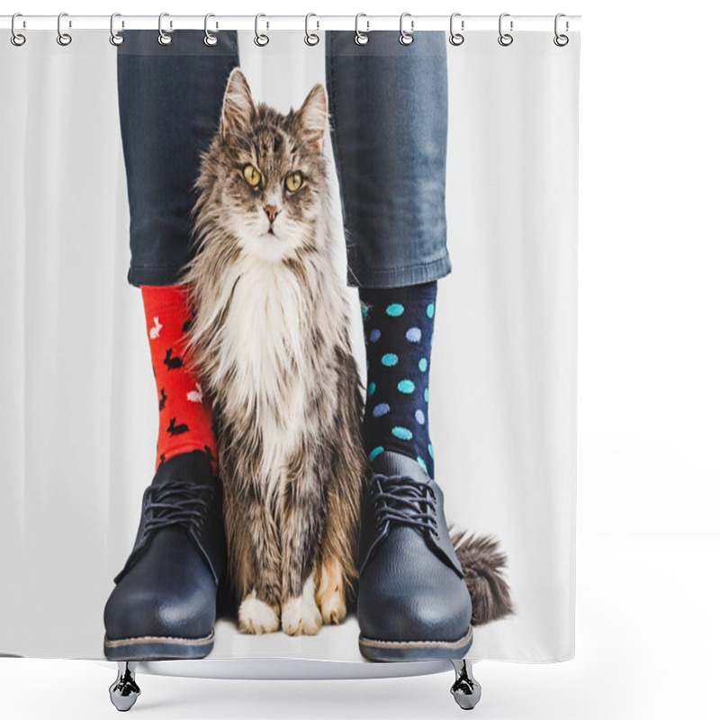 Personality  Cute Kitten, Stylish Shoes And Bright Socks Shower Curtains