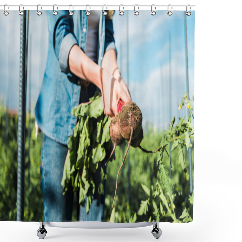 Personality  Cropped Image Of Farmer Holding Organic Beetroots In Field At Farm Shower Curtains