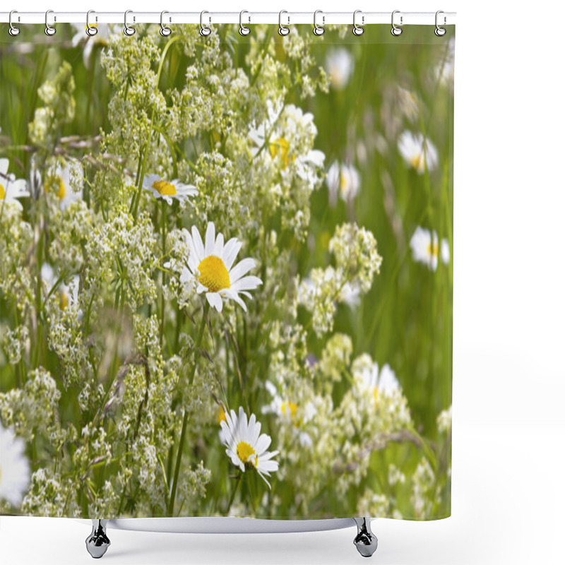 Personality  Overlooking A Beautifully Summer Meadow. It Bloom Chamomile And Other Wildflowers. Seen In The European Alps . Shower Curtains