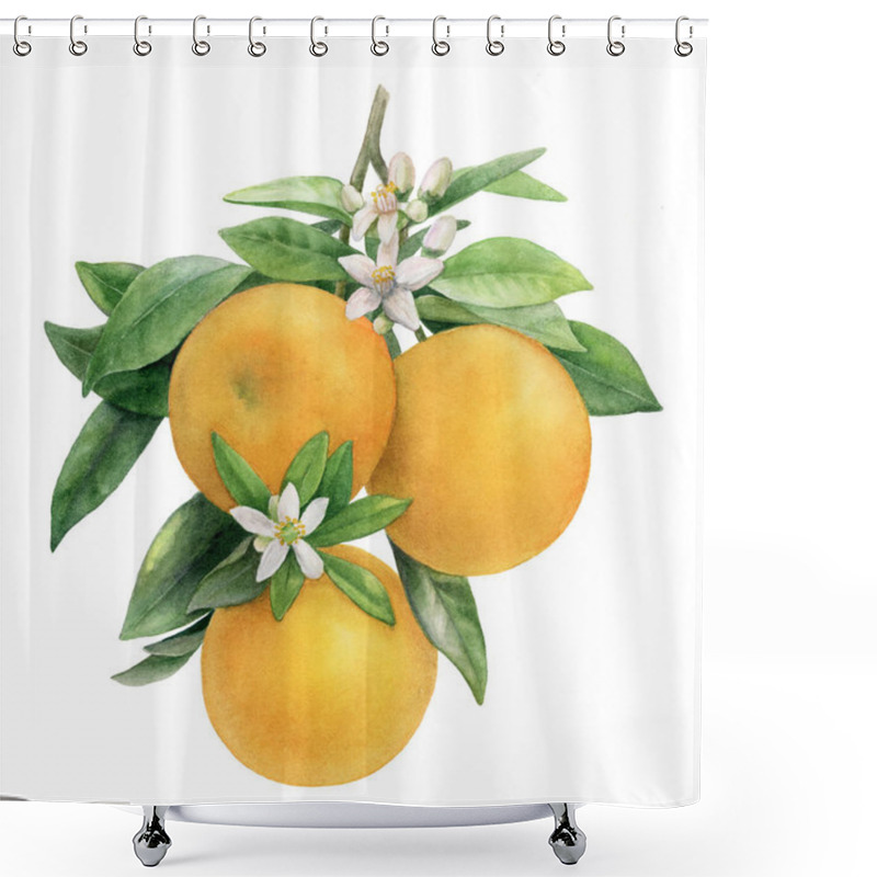 Personality  Orange Branch With Fruits And Flowers Hand Draw Illustration Shower Curtains