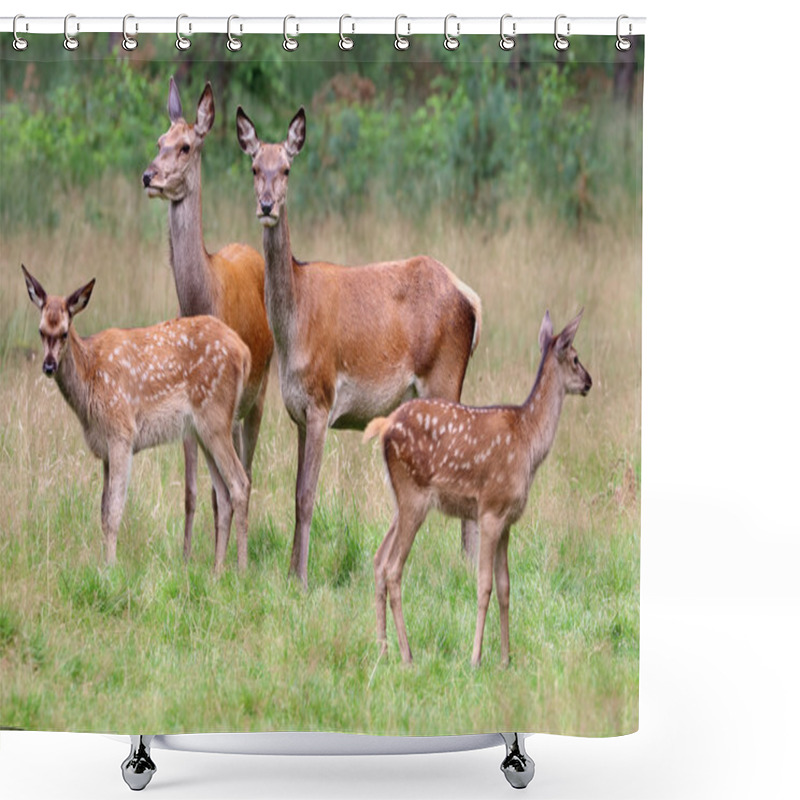 Personality  Red Deers In Forest  Shower Curtains