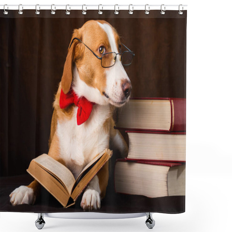 Personality  Cute Mixed Breed Dog Posing As An Intellectual Shower Curtains