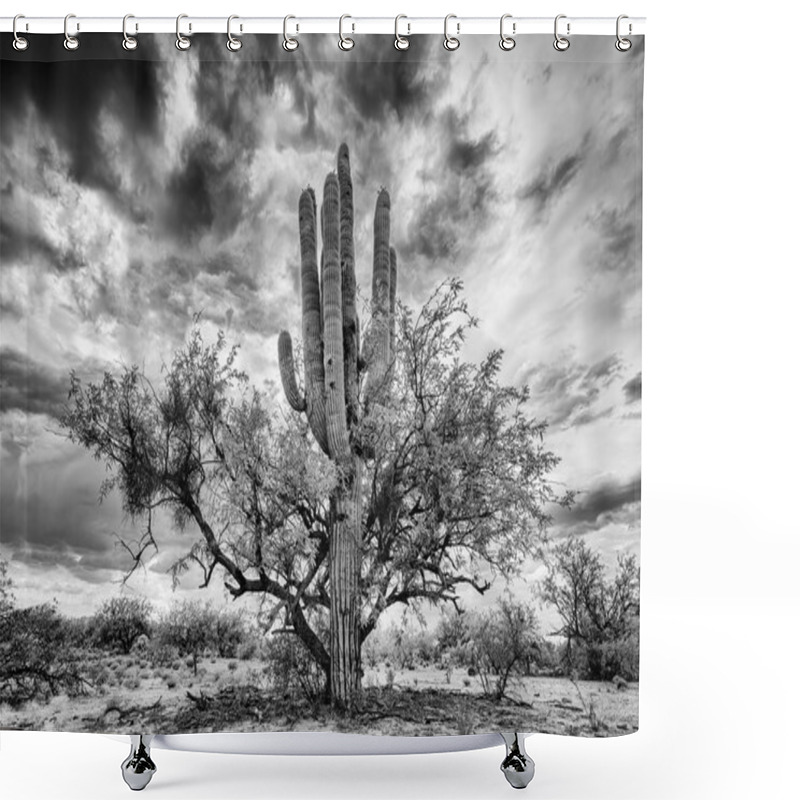 Personality  Saguaro And Mesquite Nurse Tree Shower Curtains