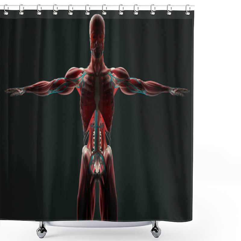 Personality  Human Anatomy Model Shower Curtains