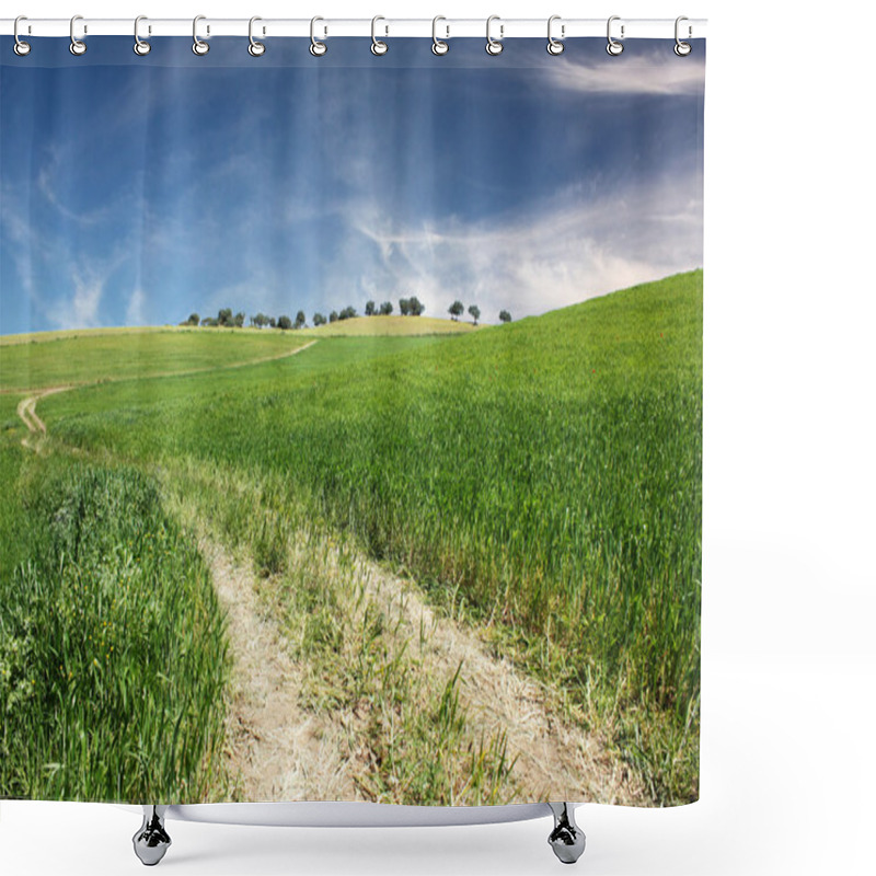 Personality  Dirt Road On Green Grass And Blue Sky Shower Curtains