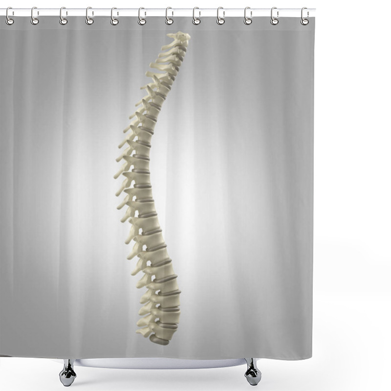 Personality  Human Spine Model Shower Curtains