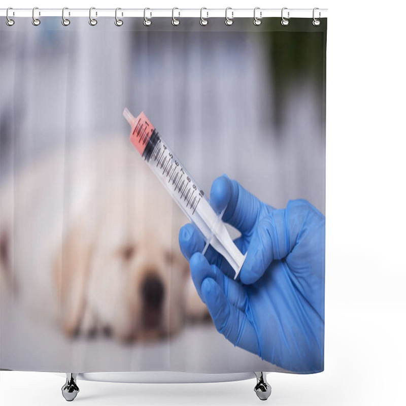 Personality  Puppy Dog At The Veterinary Doctor To Receive Anti Vermin Medica Shower Curtains