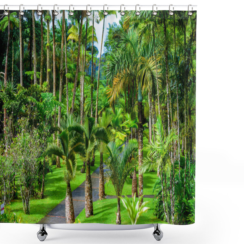 Personality  Balata Garden, Martinique - Paradise Botanic Garden On Tropical Caribbean Island With Suspension Bridges - France Shower Curtains