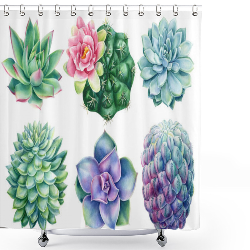 Personality  Watercolor Succulents. Hand Painted Green, Violet, Bloom Cacti, Isolated Background. Botanical Illustration For Design Shower Curtains