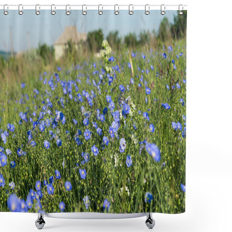 Personality  Flax Flowers Blooming Shower Curtains