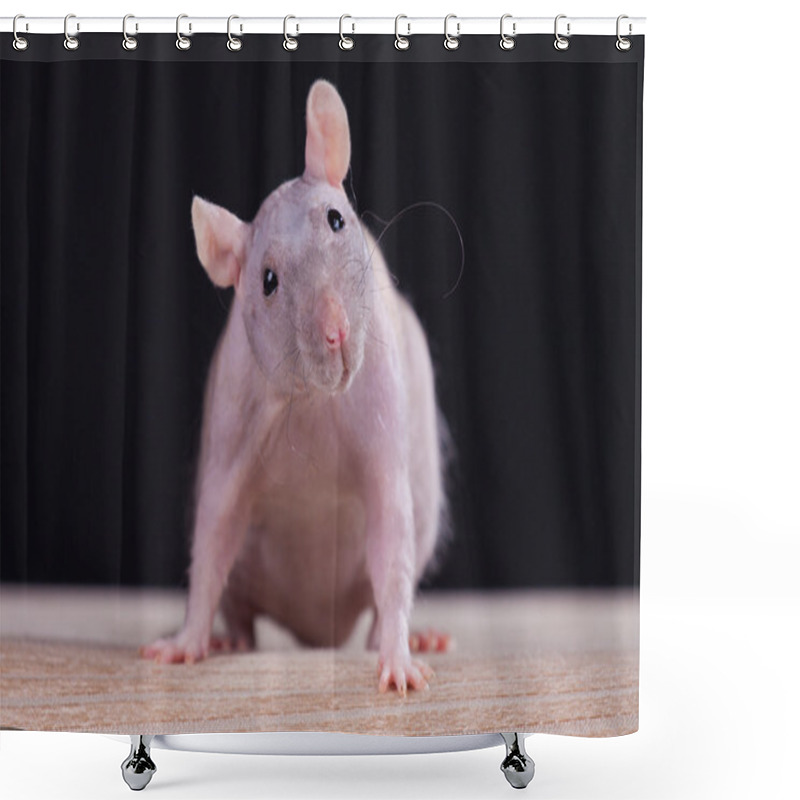 Personality  The Rat Shower Curtains