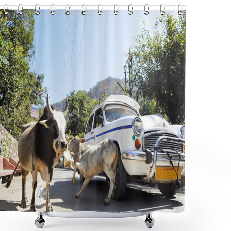 Personality  Car Makes A Road Accident With Stray Cow In Rishikesh, India. Shower Curtains