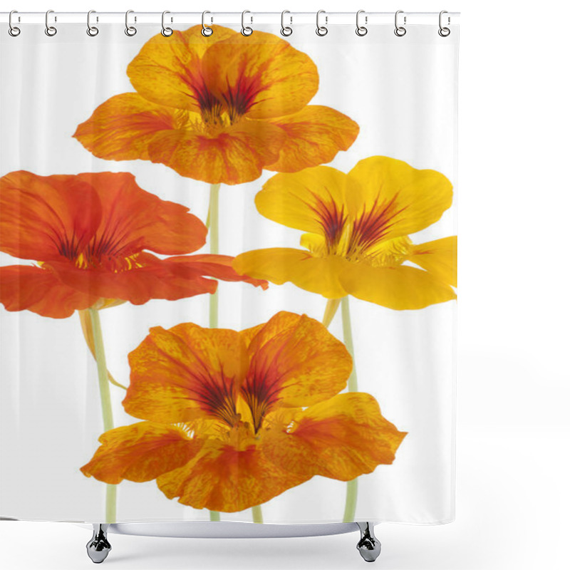 Personality  Nasturtium Shower Curtains